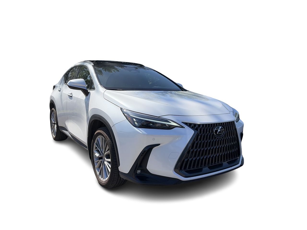 2025 Lexus NX