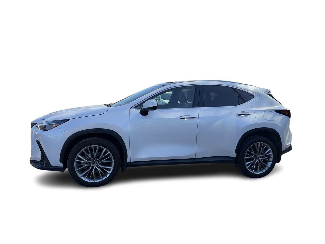 2025 Lexus NX