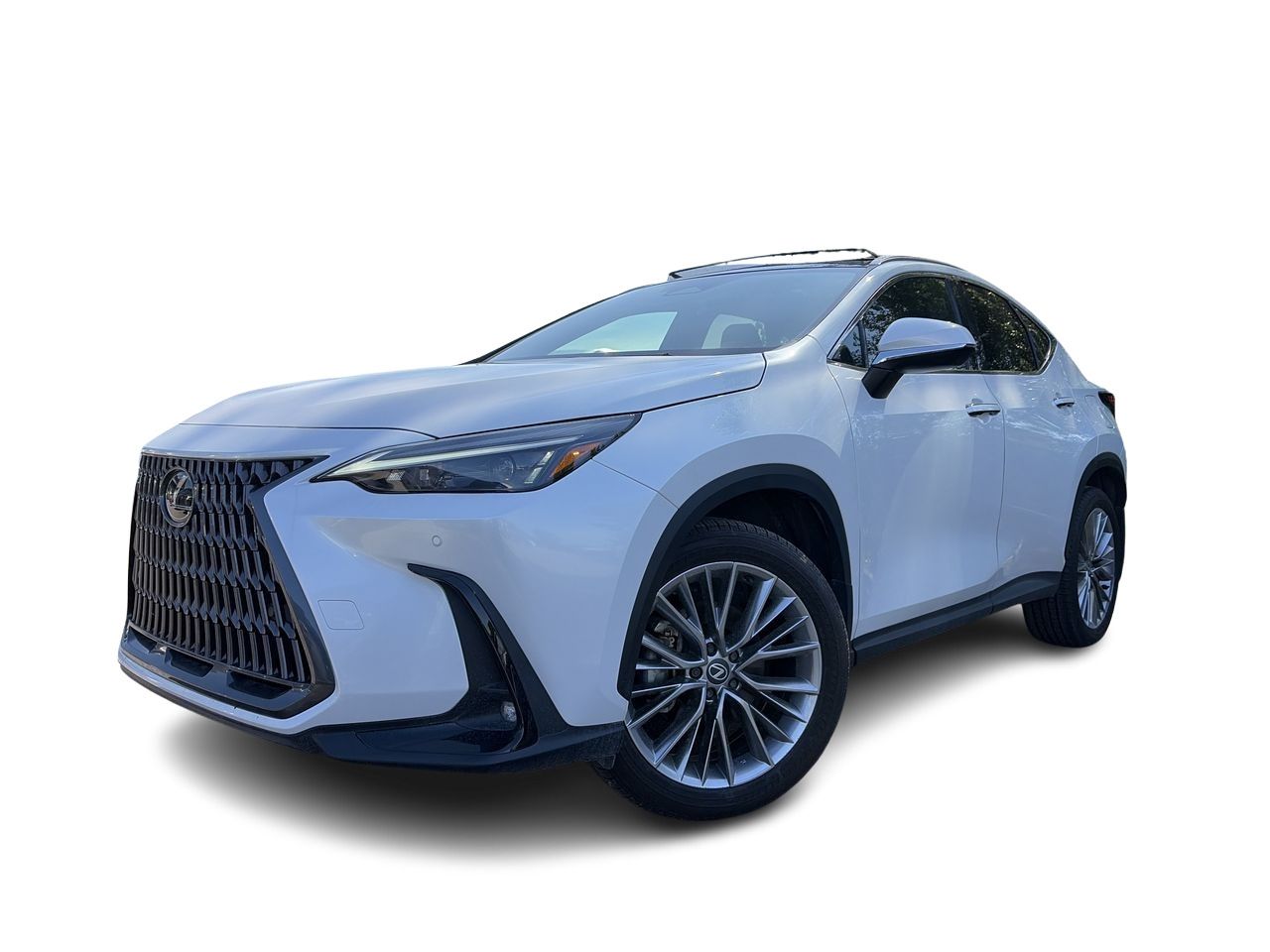 2025 Lexus NX