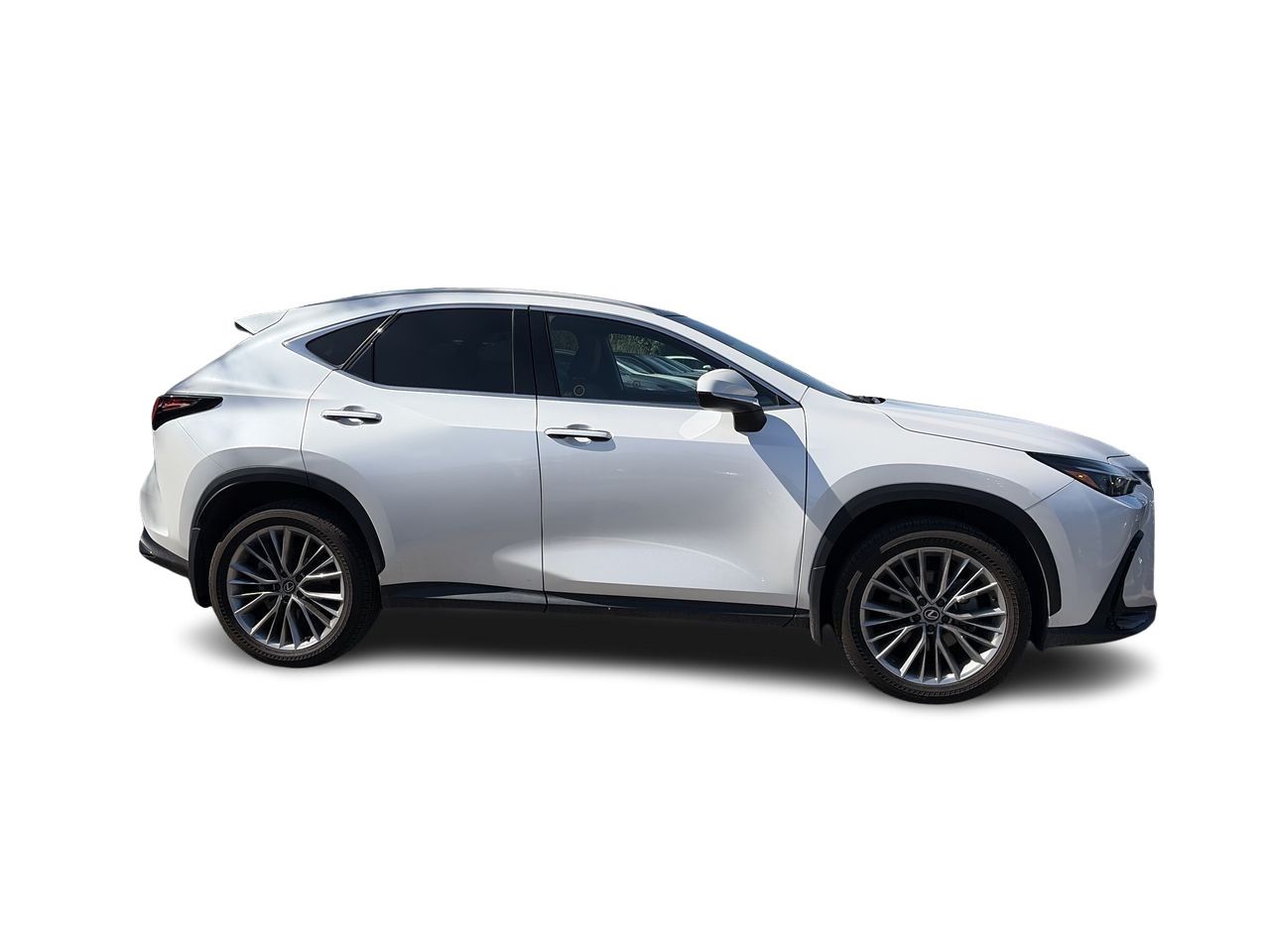 2025 Lexus NX