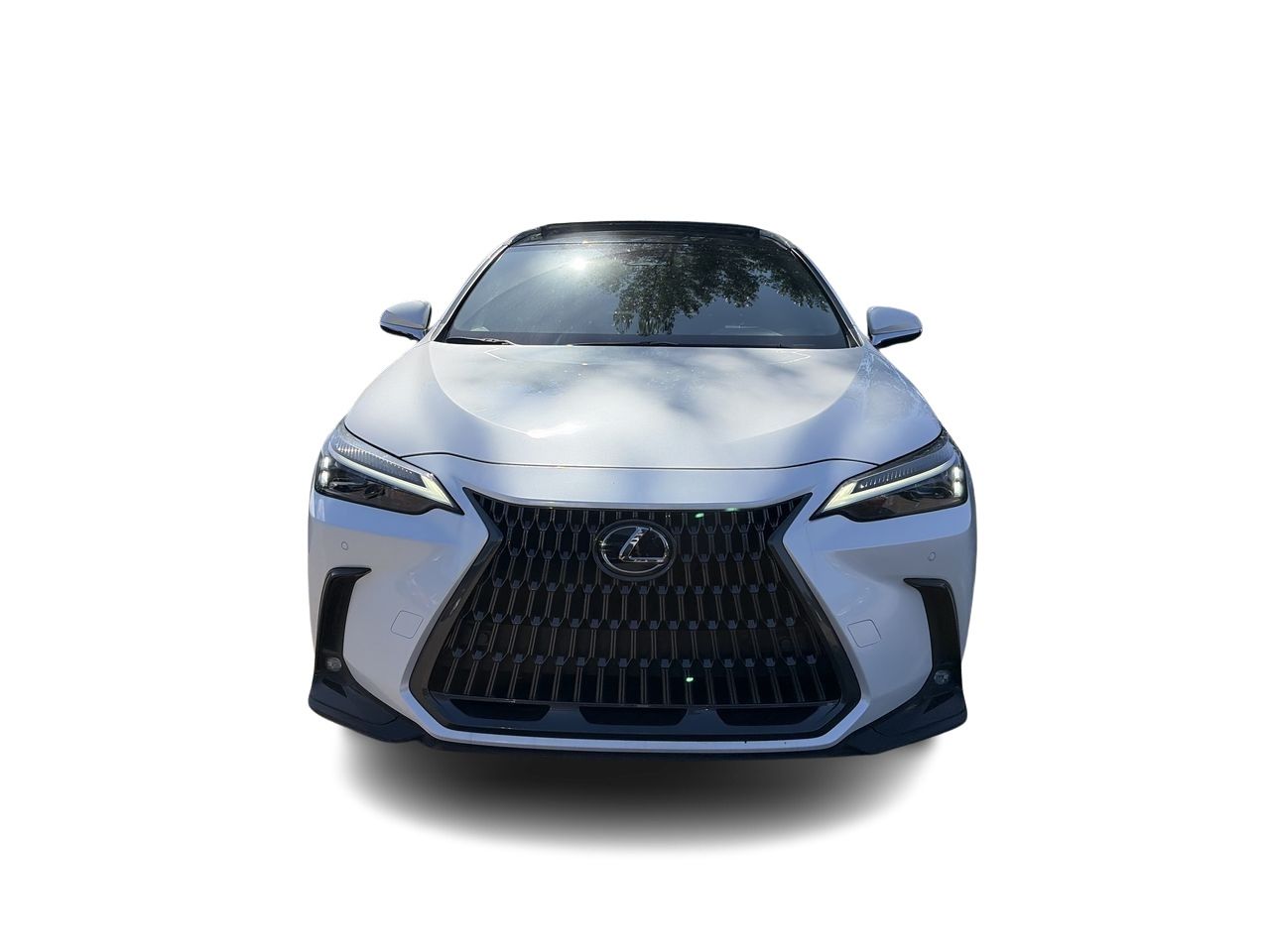 2025 Lexus NX