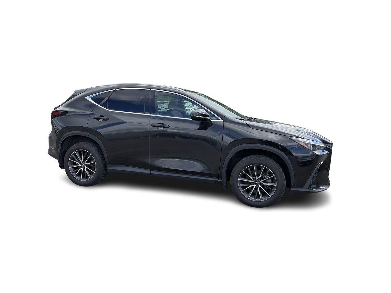 Lexus NX  2025