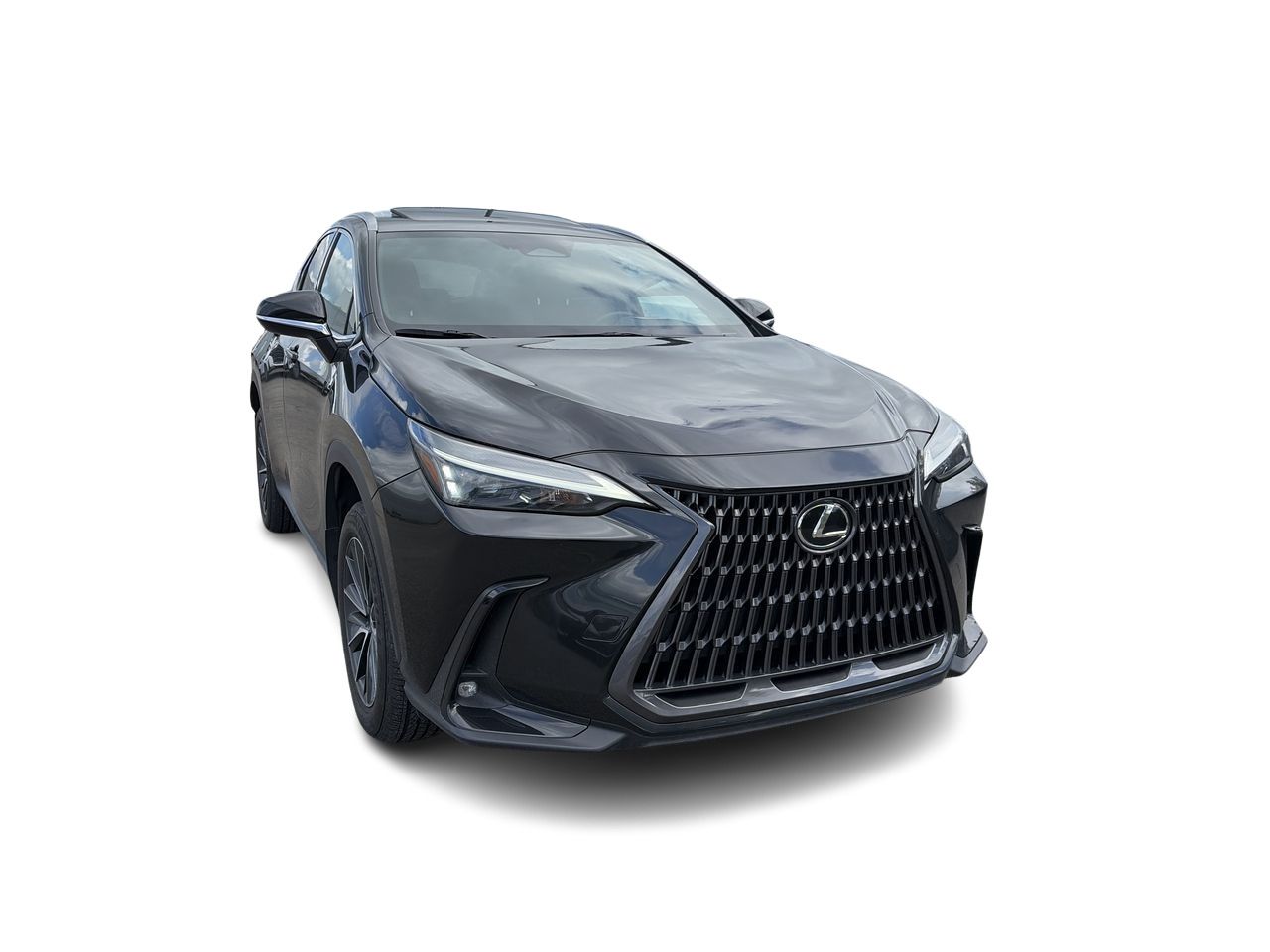 Lexus NX  2025