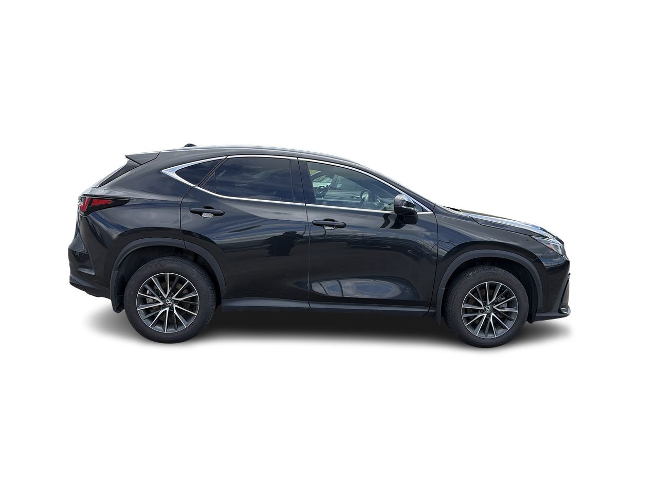Lexus NX  2025