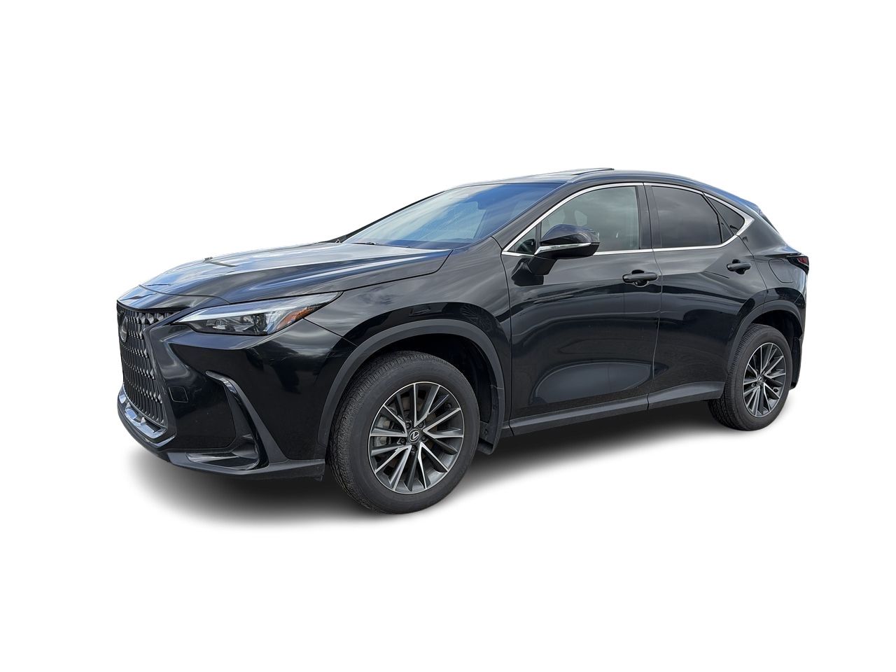 Lexus NX  2025