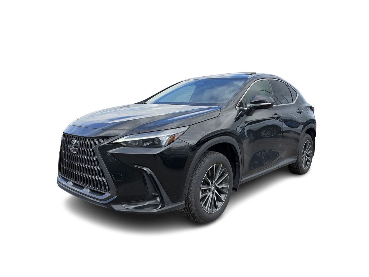 Lexus NX  2025