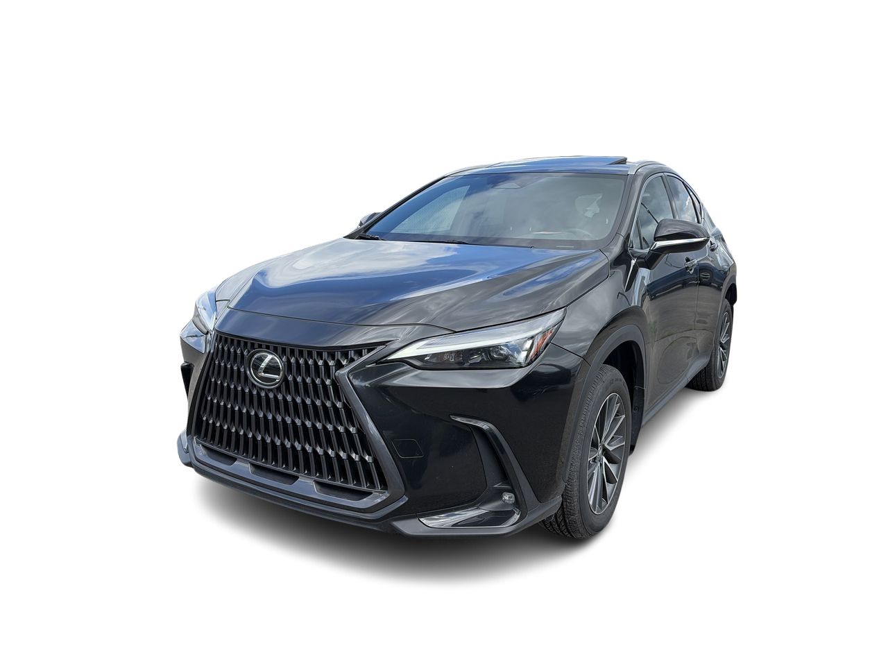 Lexus NX  2025