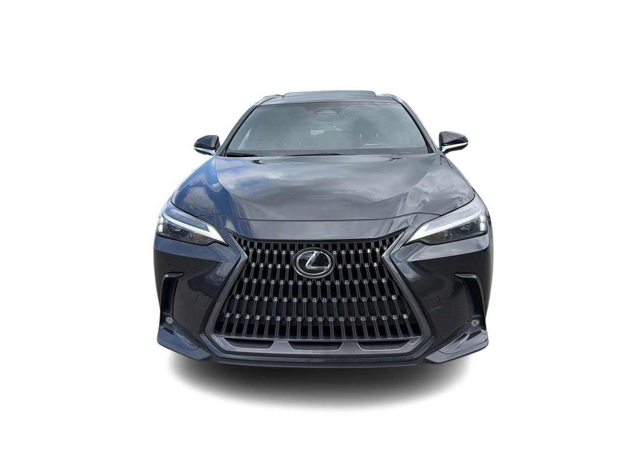 Lexus NX  2025