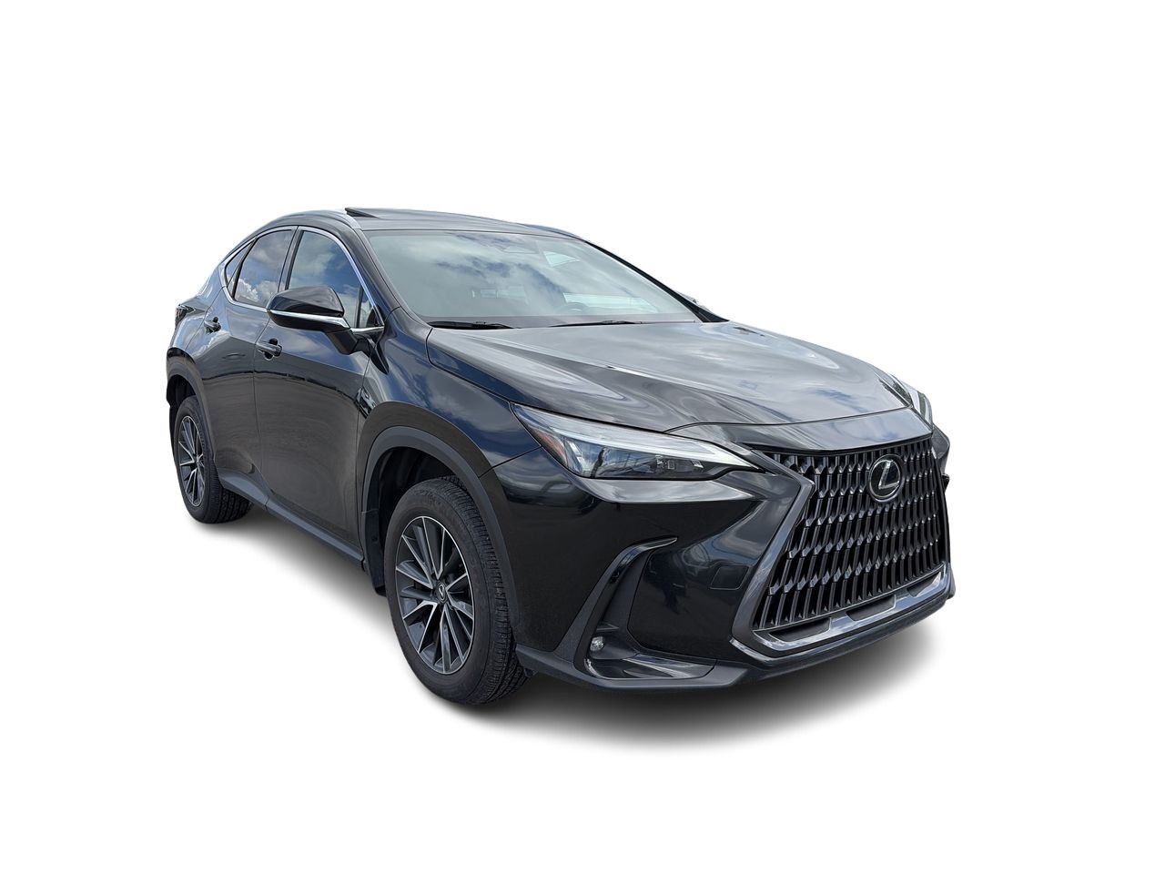 Lexus NX  2025