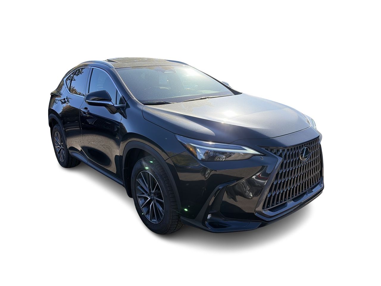 Lexus NX  2026