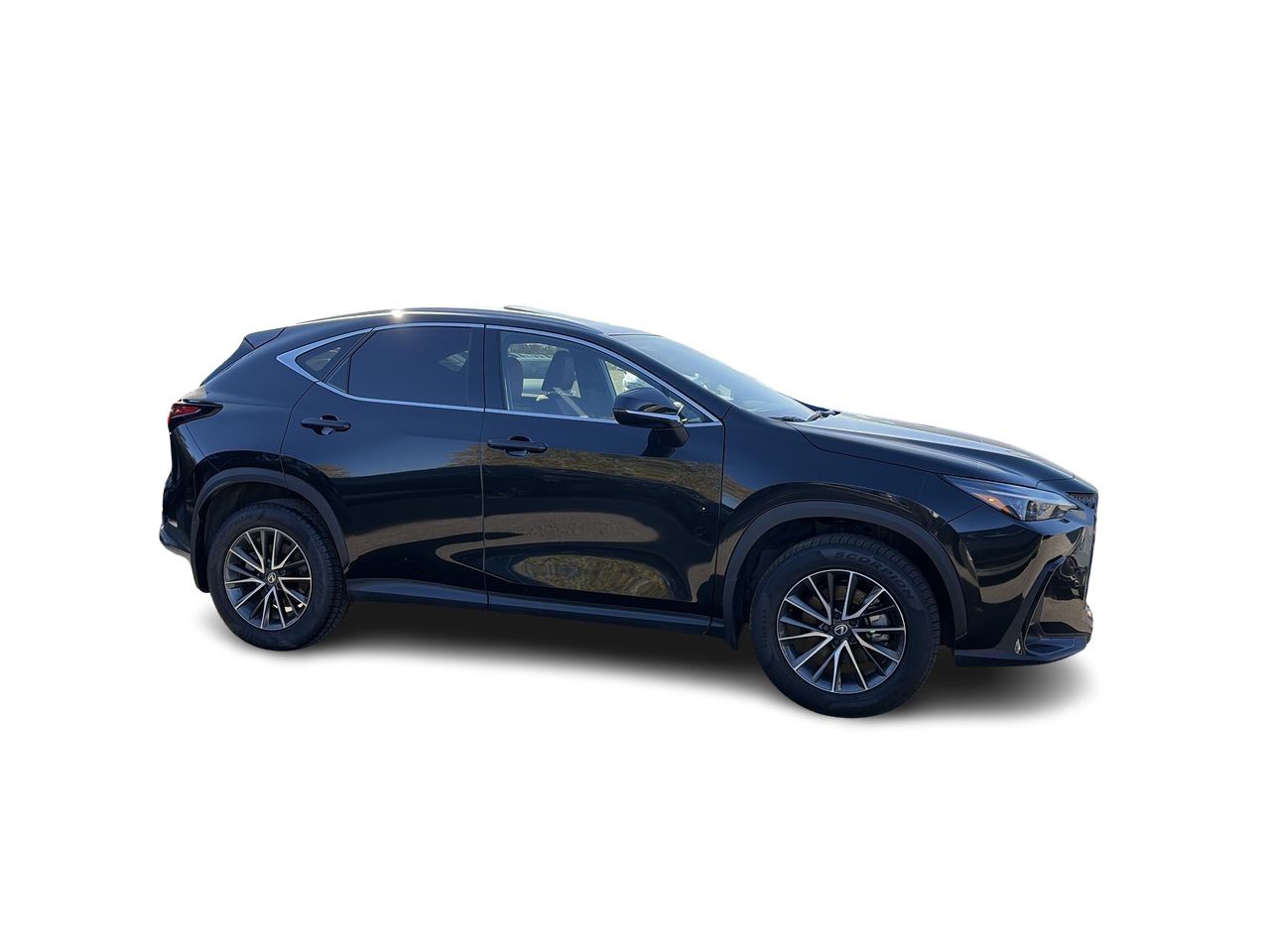 Lexus NX  2026