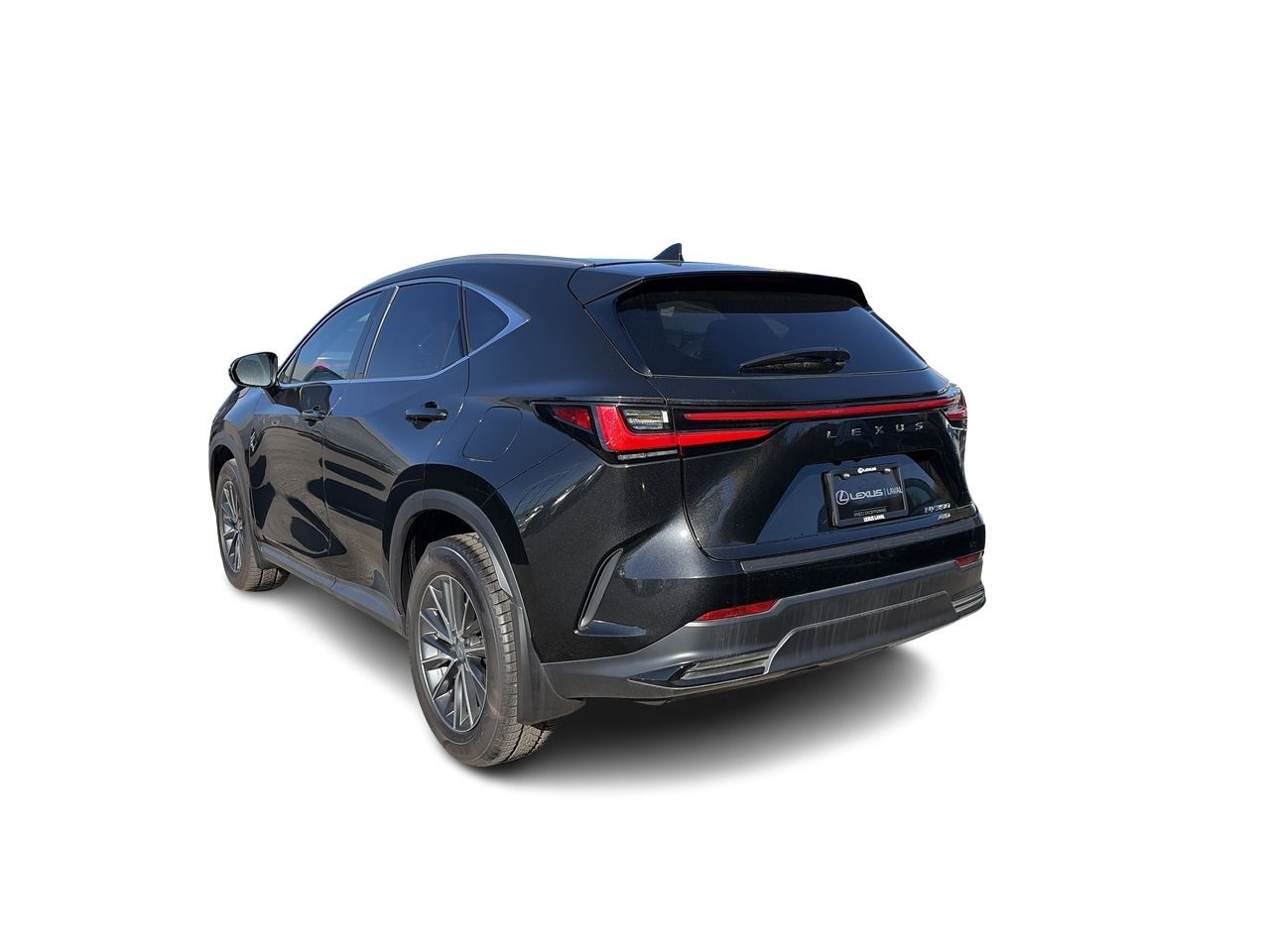 Lexus NX  2026