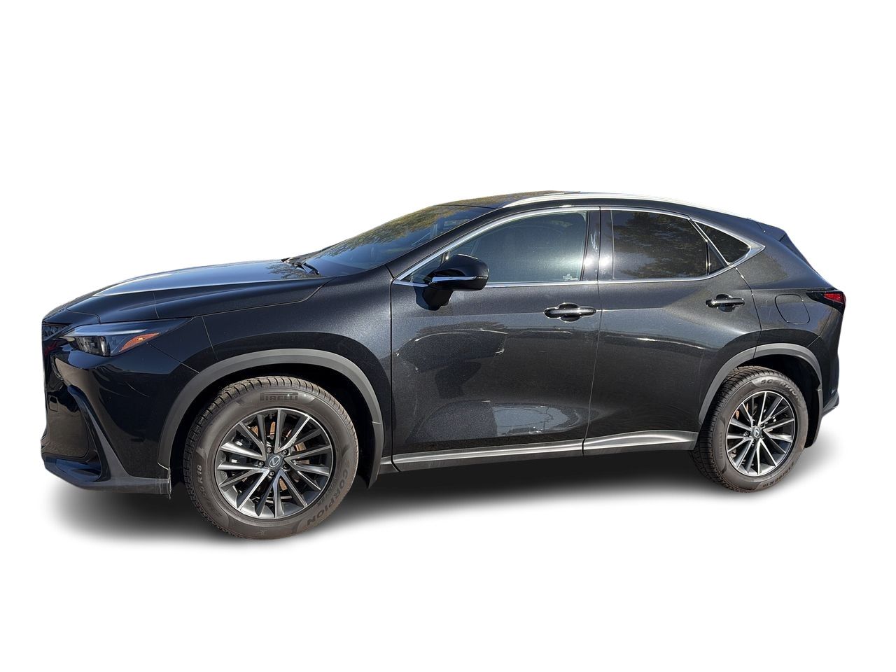 Lexus NX  2026