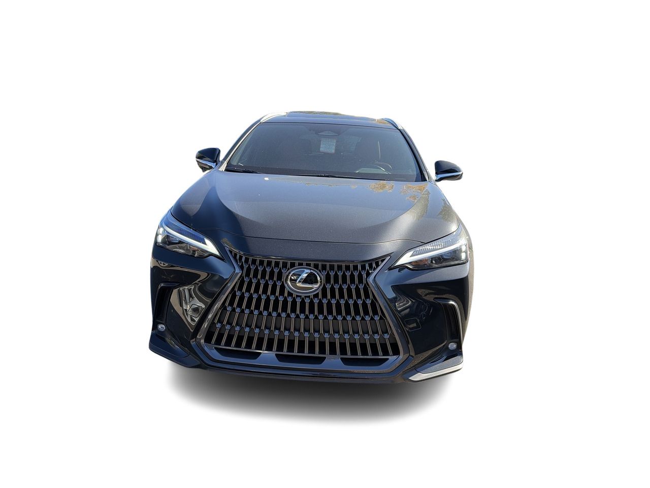 Lexus NX  2026