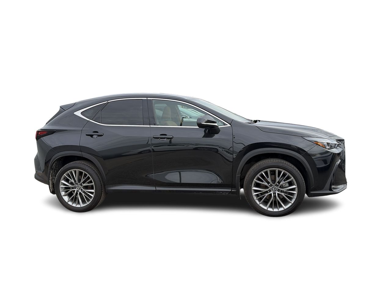 Lexus NX  2026 à Laval, Québec