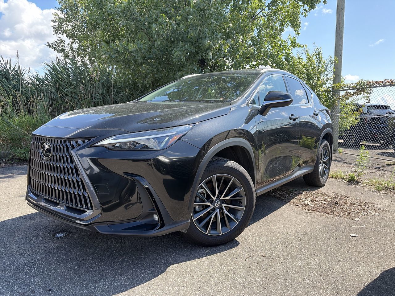 Lexus NX  2026