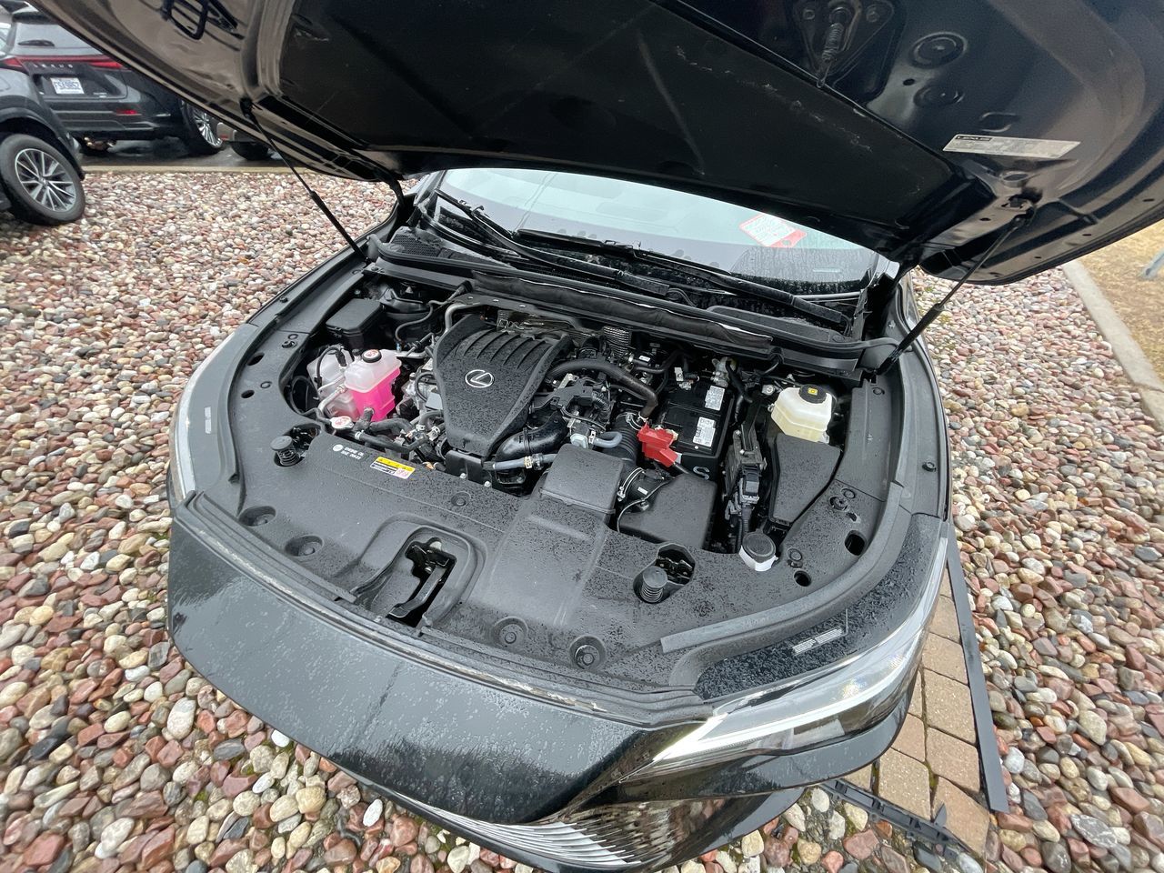 2024 Lexus RX 350 in Laval, Quebec