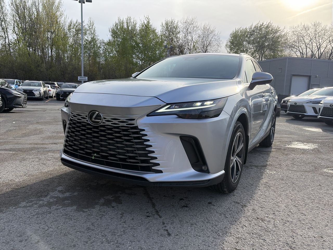 2023 Lexus RX 350