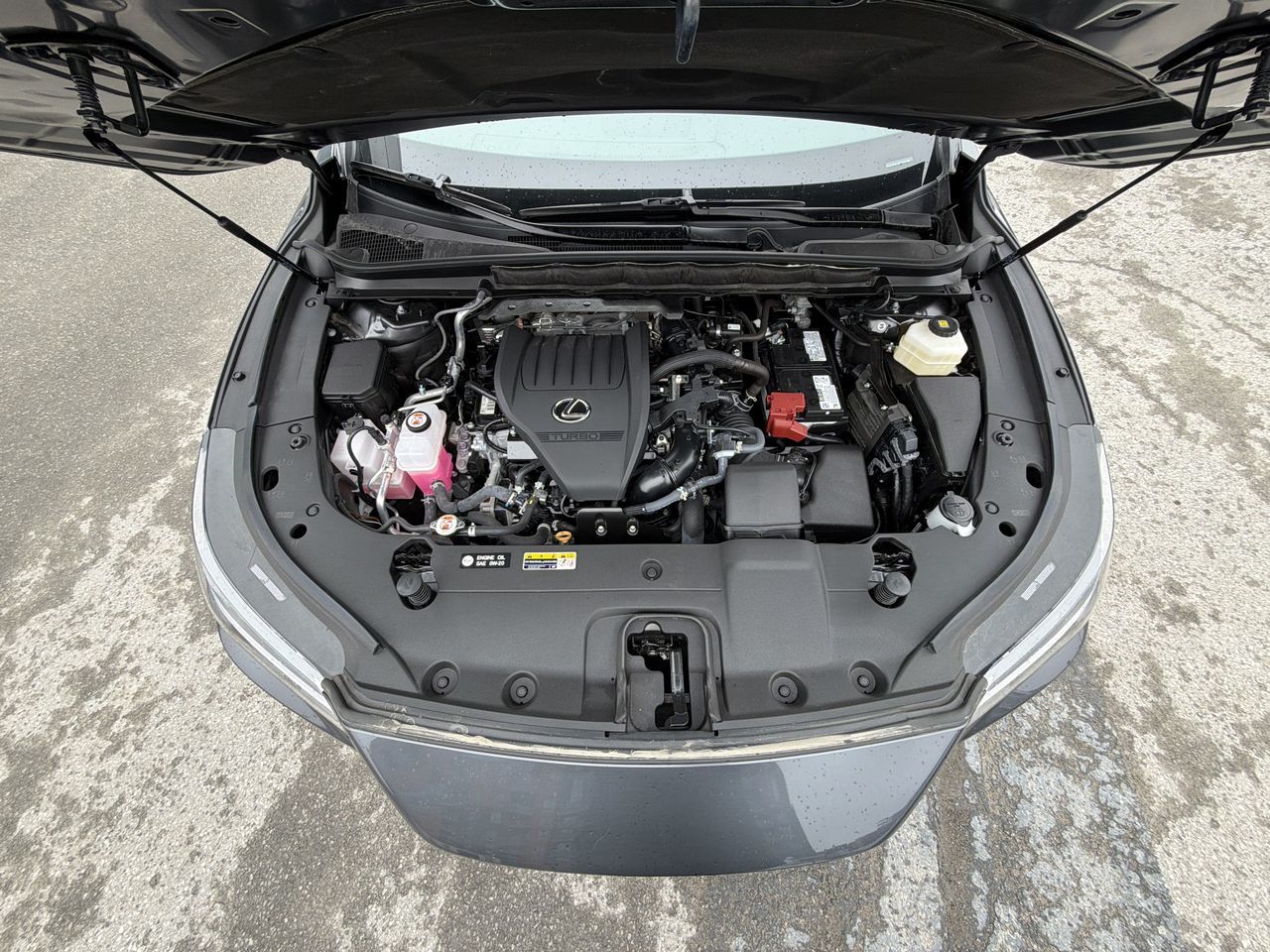 2025 Lexus RX 350 in Laval, Quebec