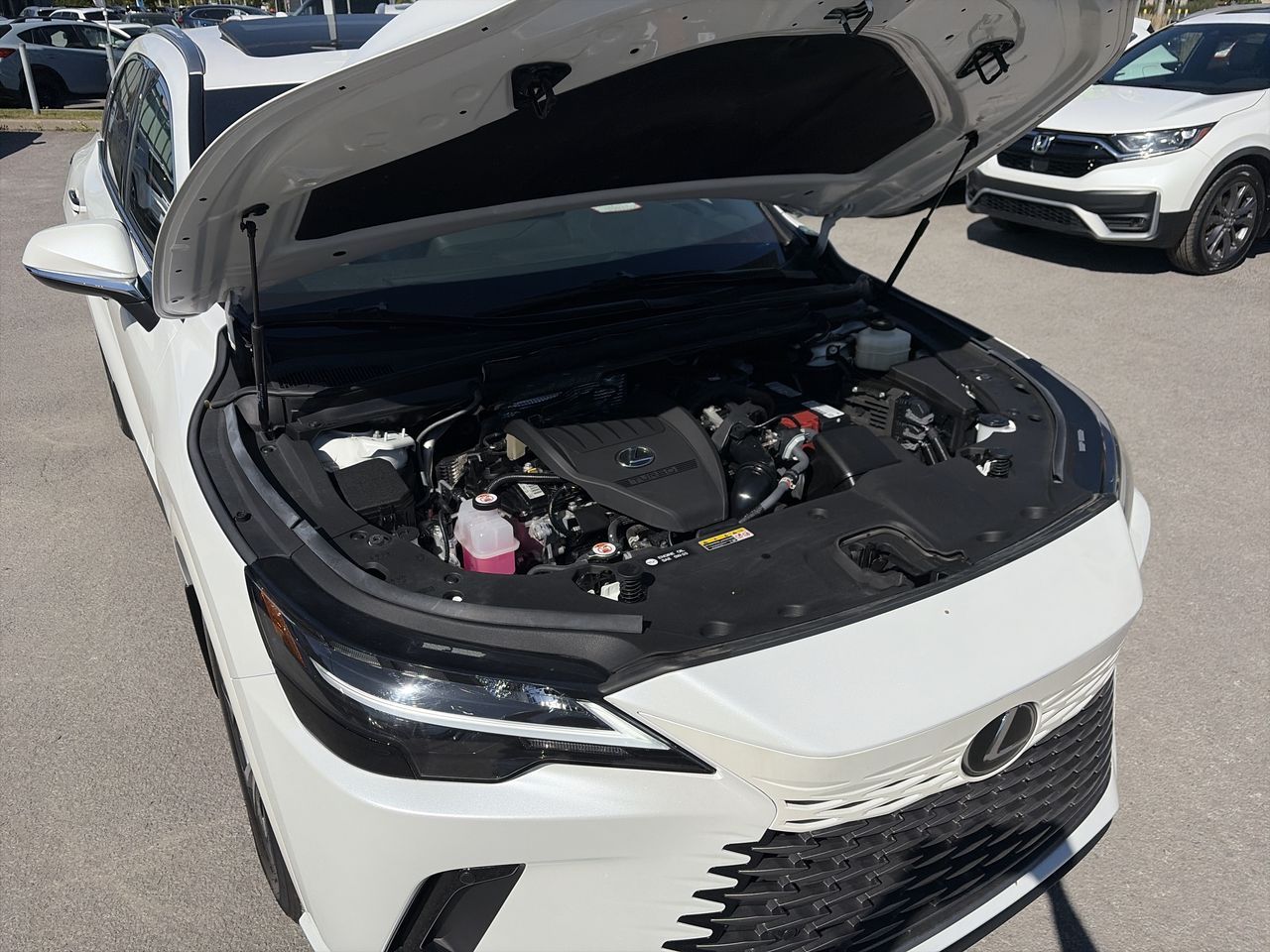 2025 Lexus RX 350 in Laval, Quebec