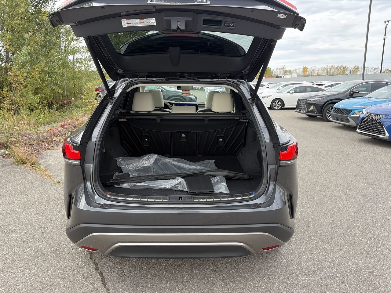 2025 Lexus RX 350