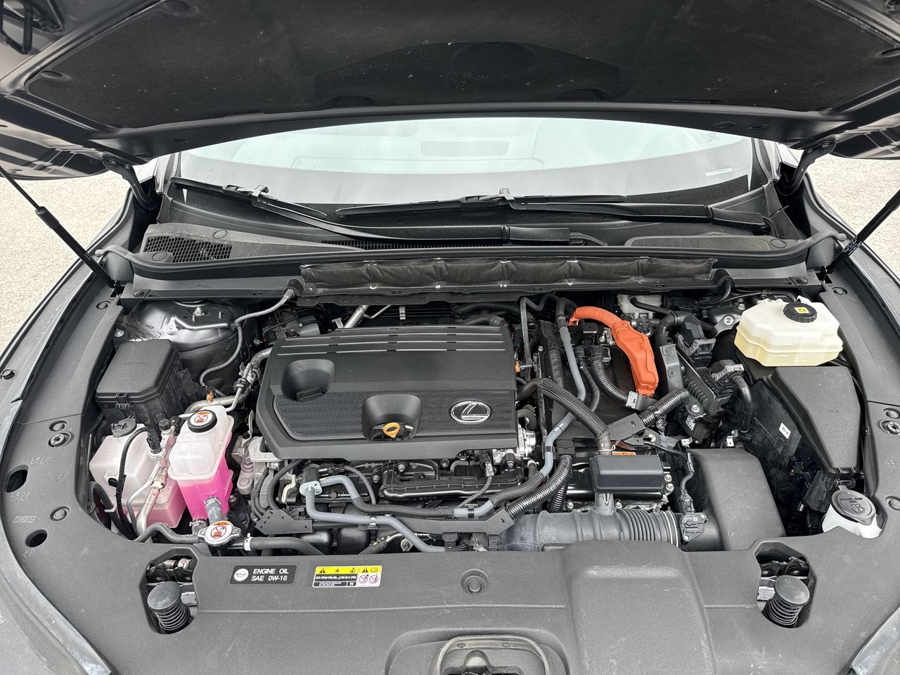 Lexus RX 350h  2023