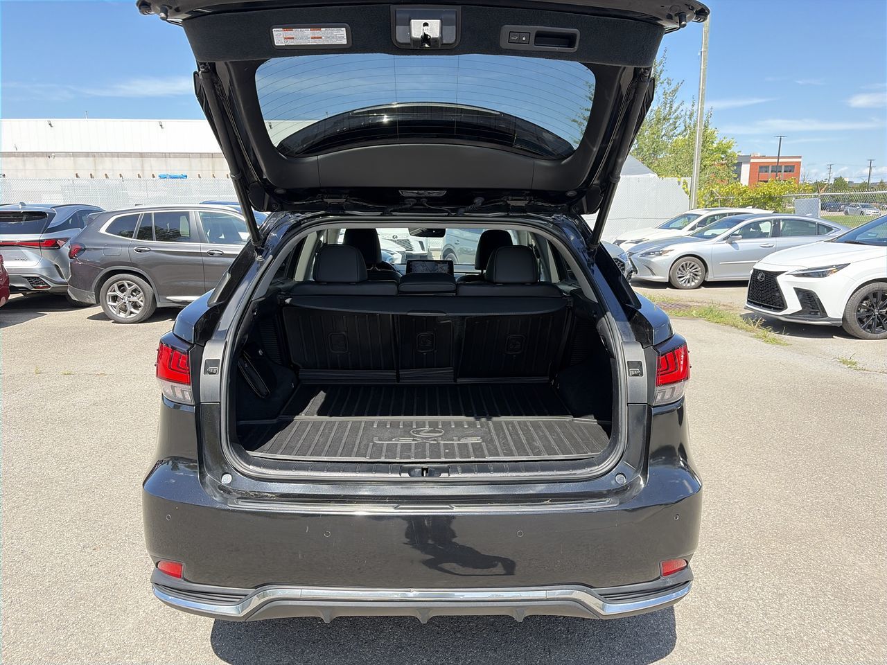 Lexus RX  2020