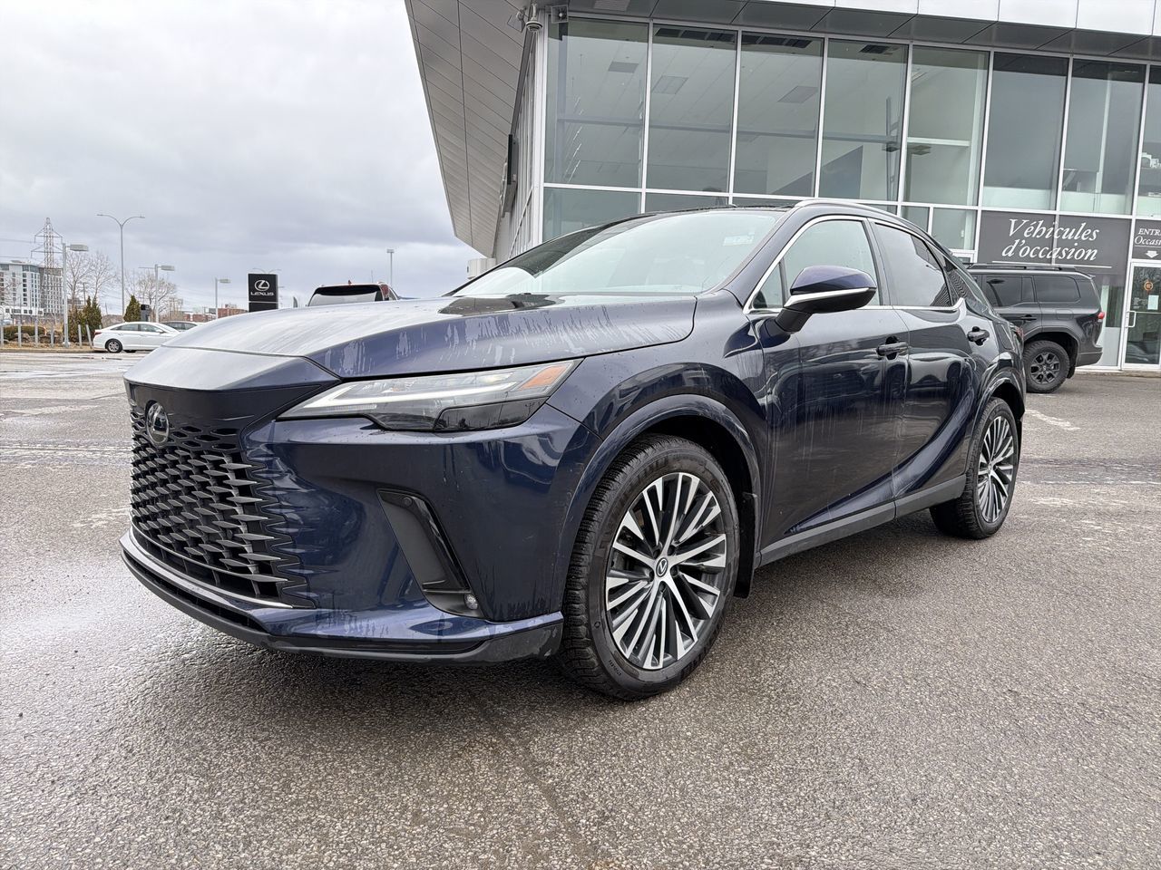 2024 Lexus RX