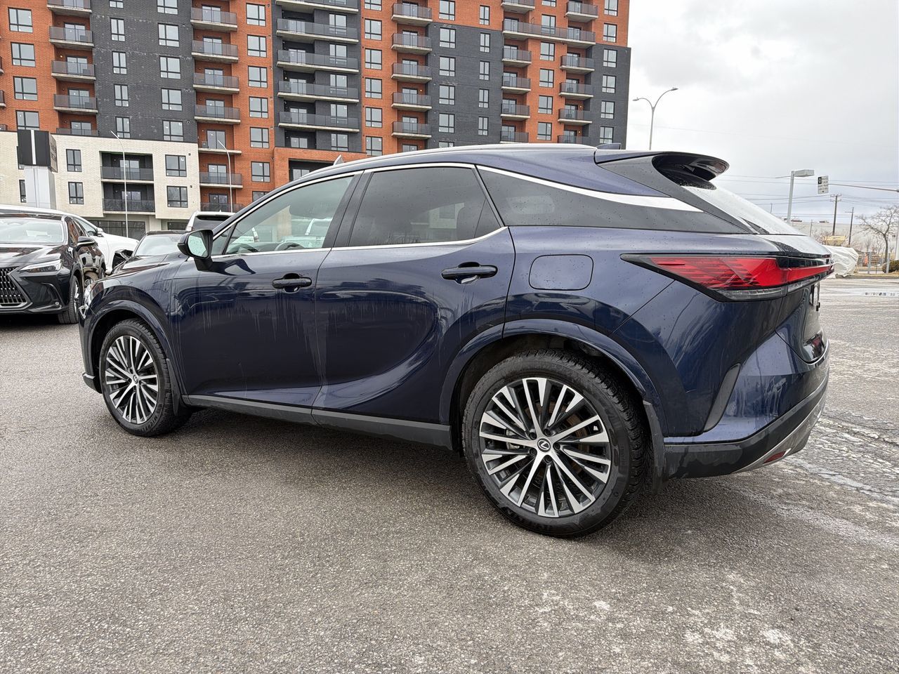 2024 Lexus RX