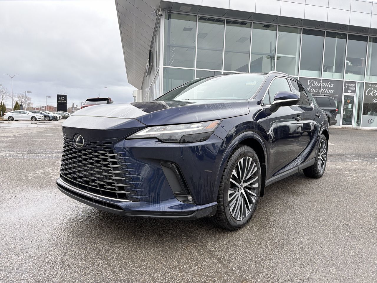 2024 Lexus RX