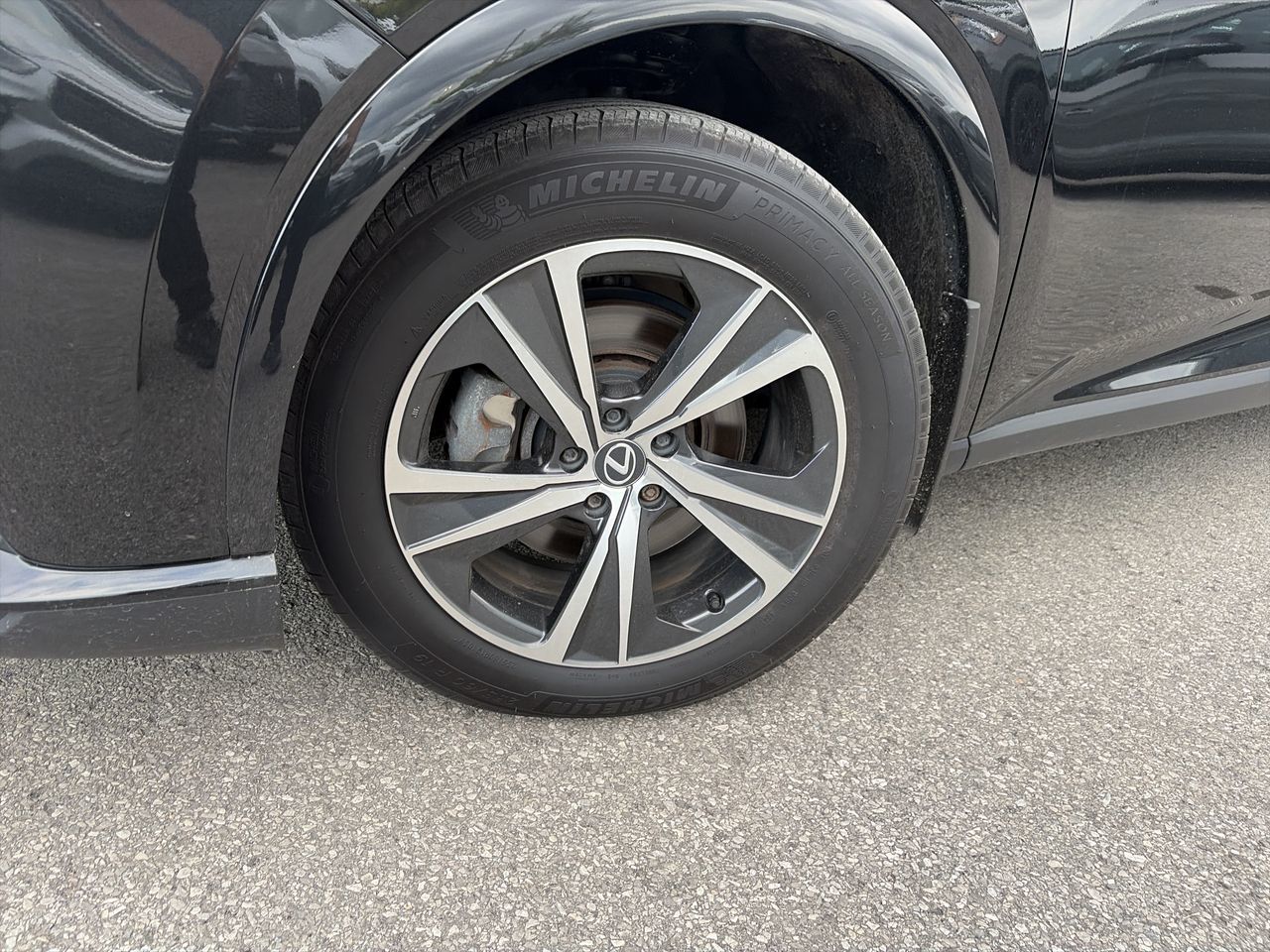 2024 Lexus RX