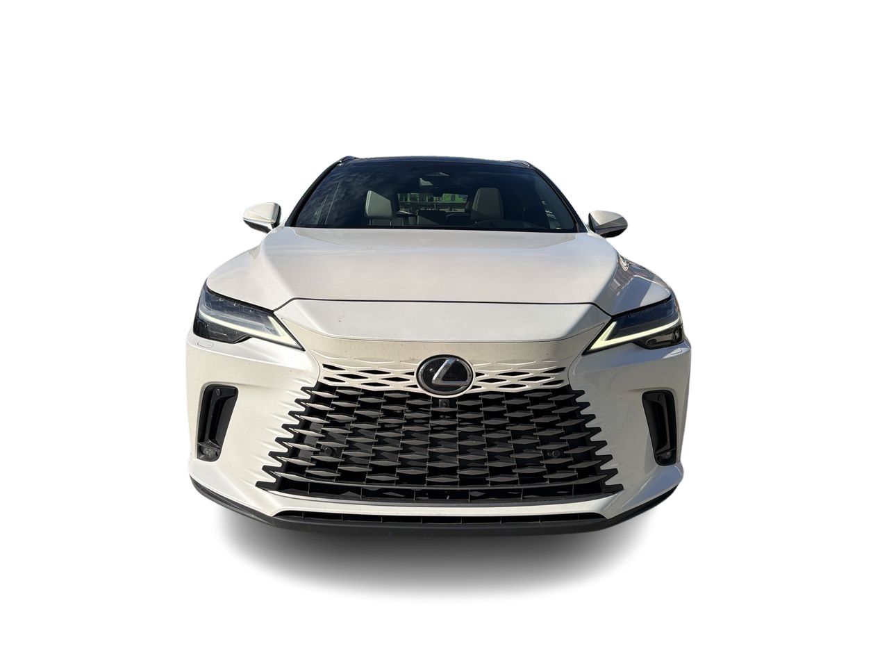 2024 Lexus RX