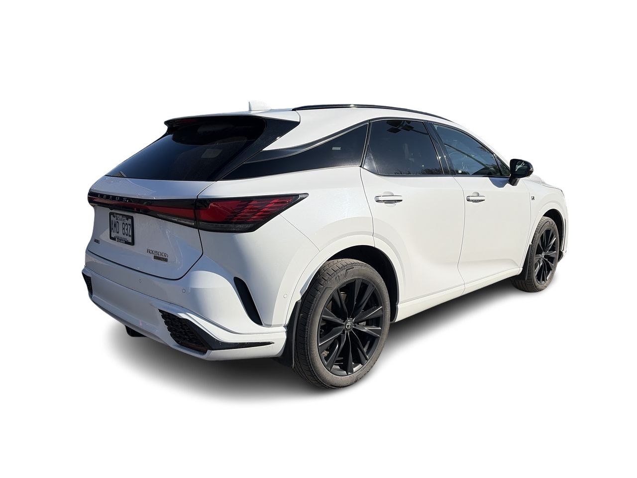 2024 Lexus RX