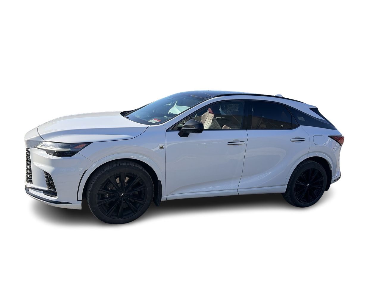 2024 Lexus RX
