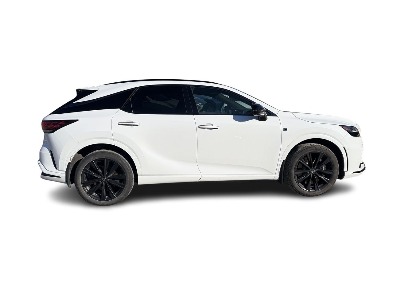 2024 Lexus RX