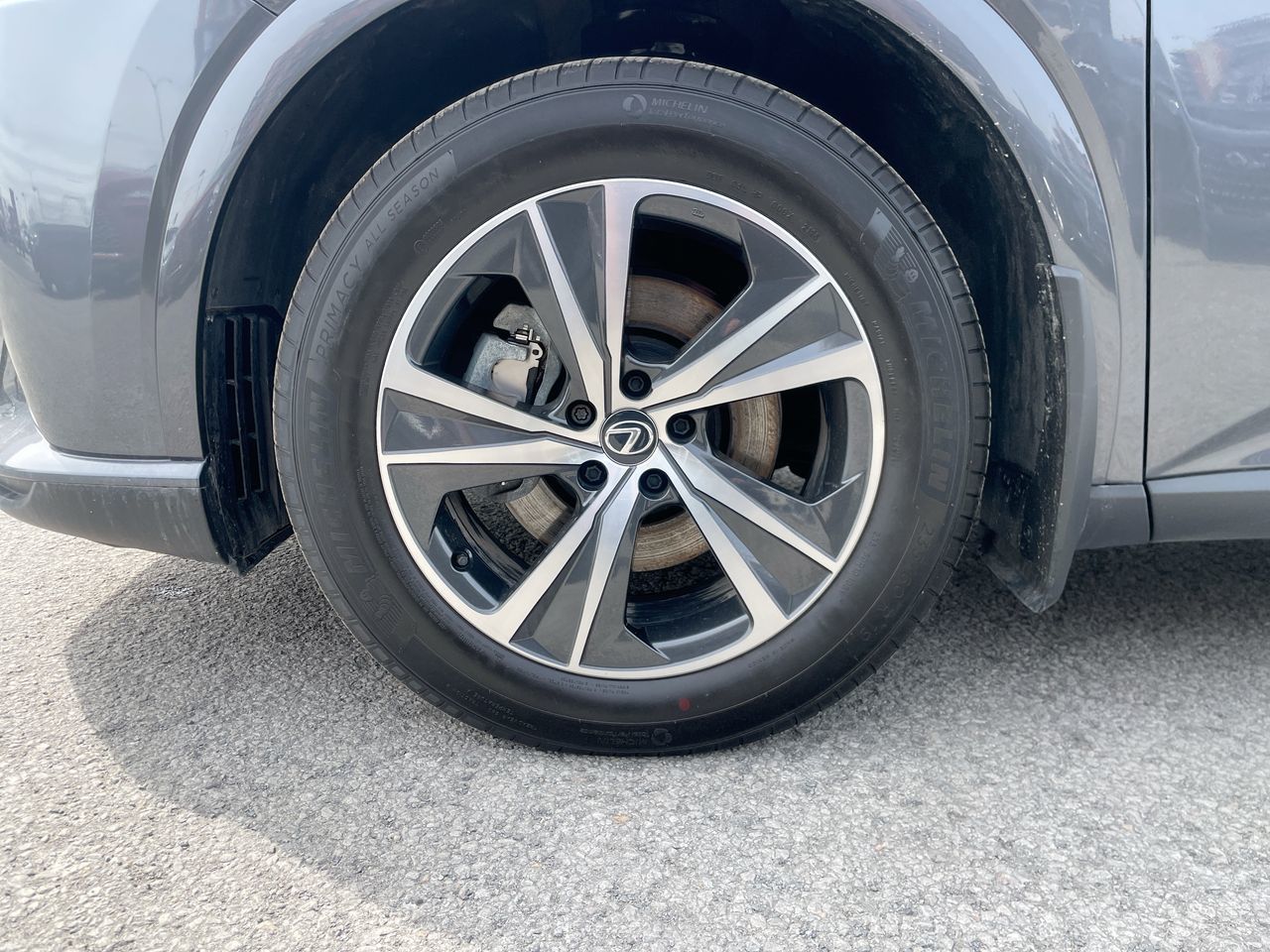 2025 Lexus RX