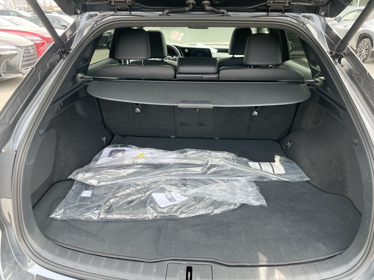2025 Lexus RX