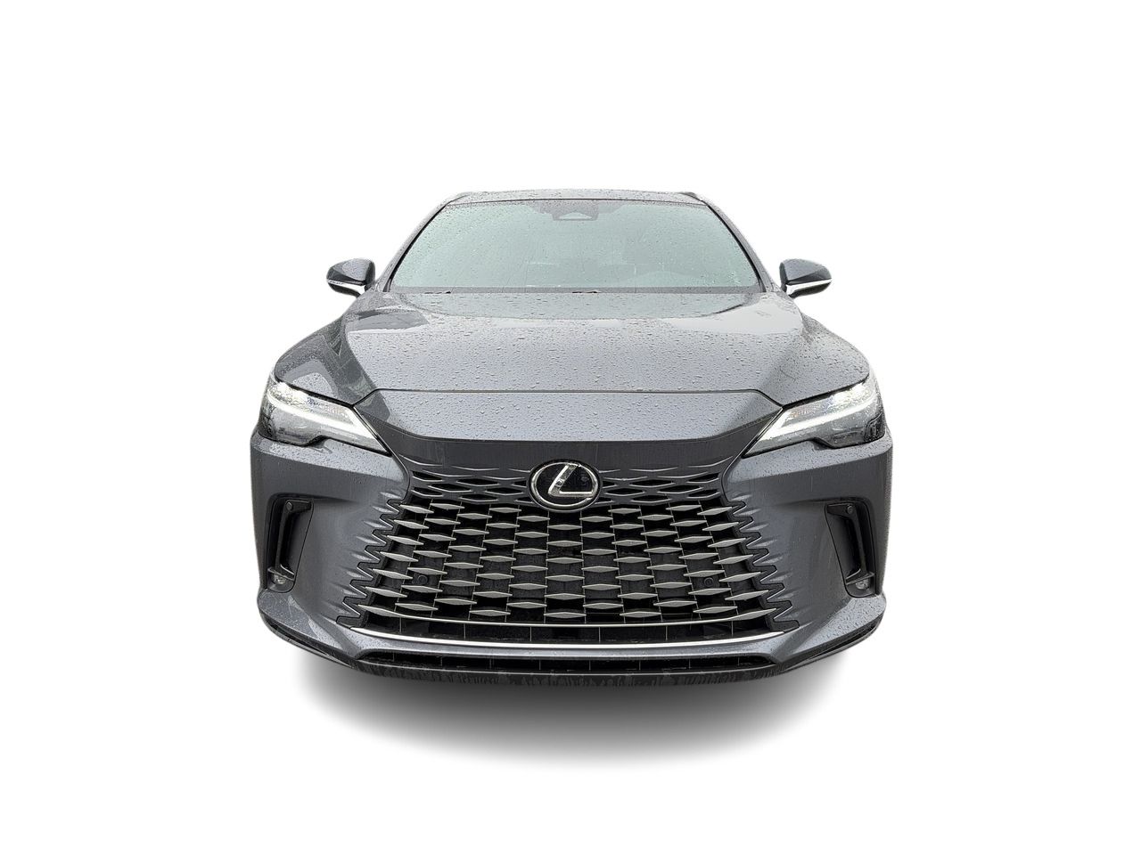 2025 Lexus RX