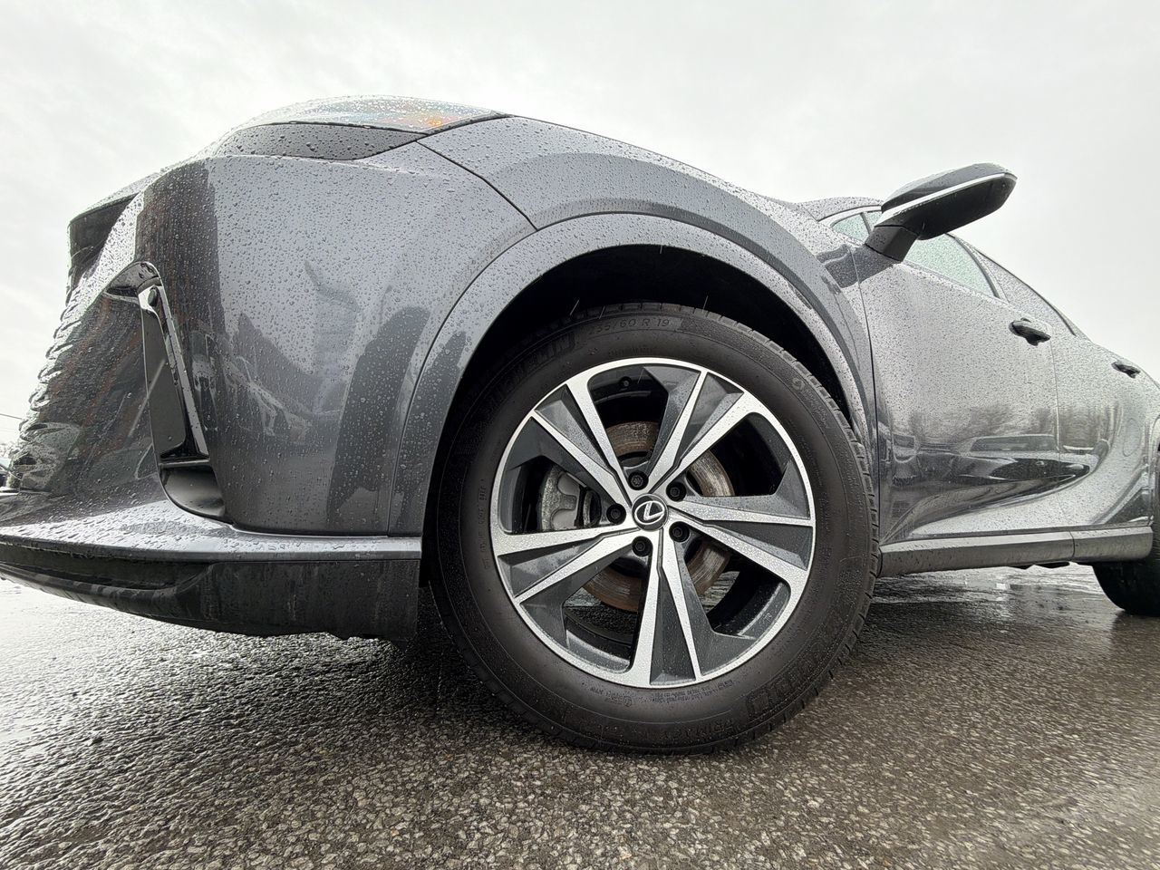 2025 Lexus RX
