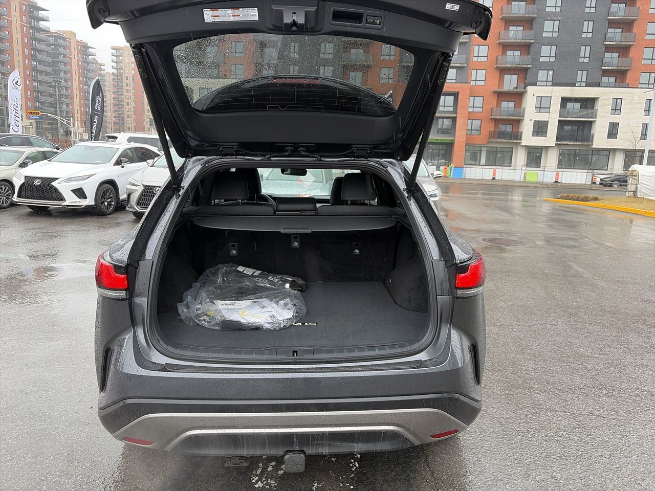 2025 Lexus RX