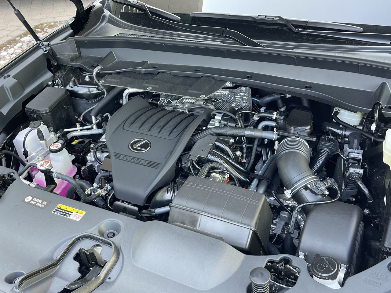 Lexus TX Hybrid  2025