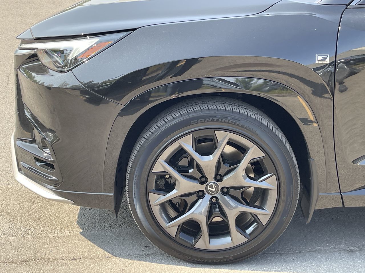 Lexus TX Hybrid  2025