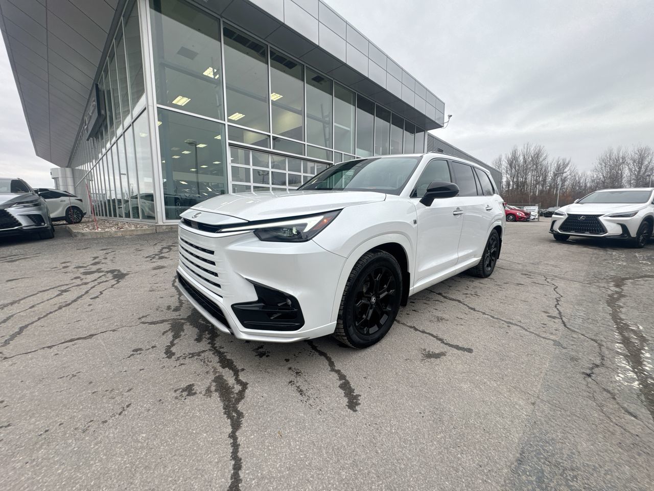 2024 Lexus TX in Laval, Quebec