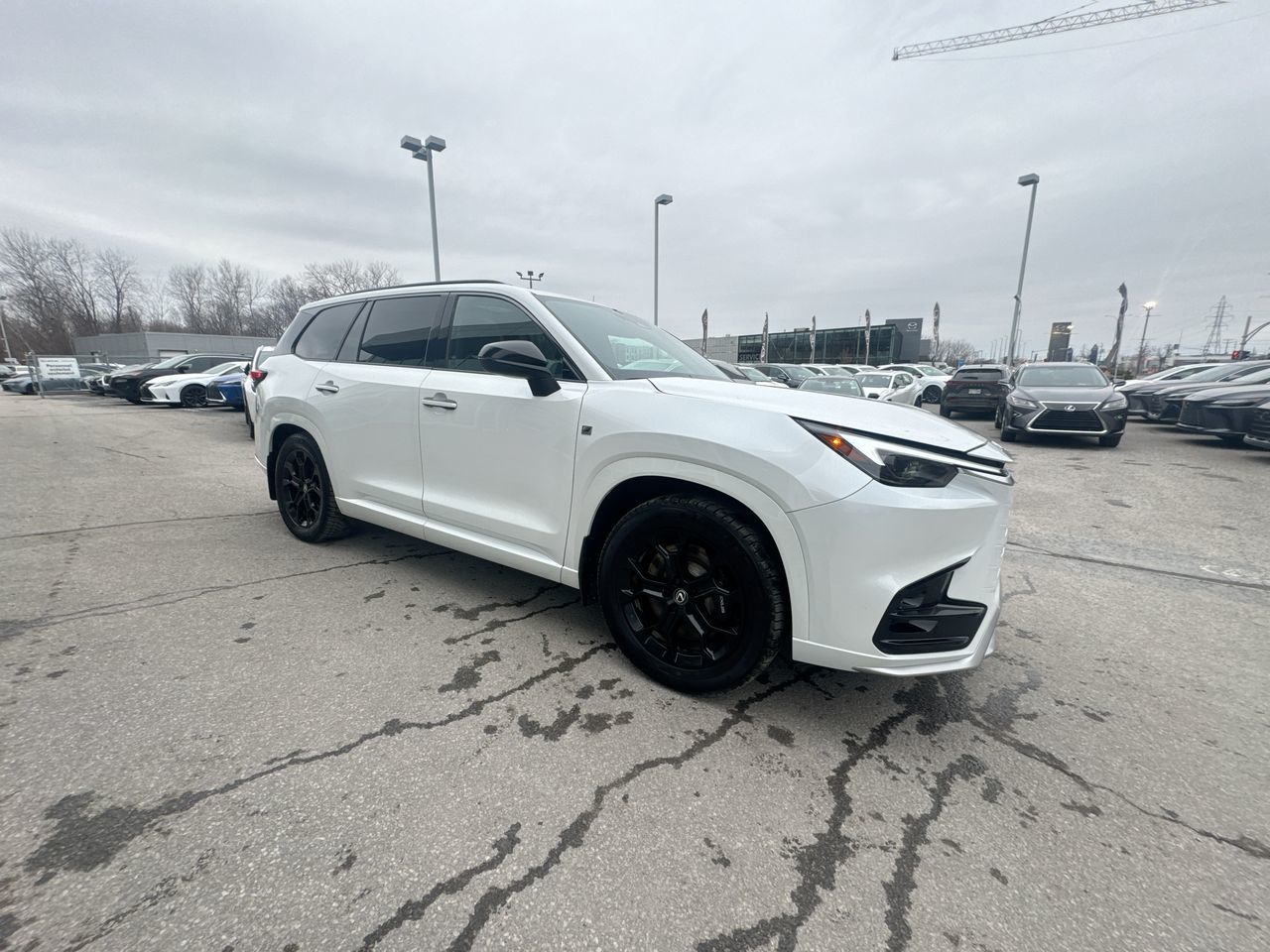 2024 Lexus TX in Laval, Quebec