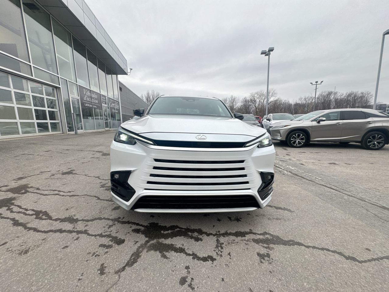 2024 Lexus TX in Laval, Quebec