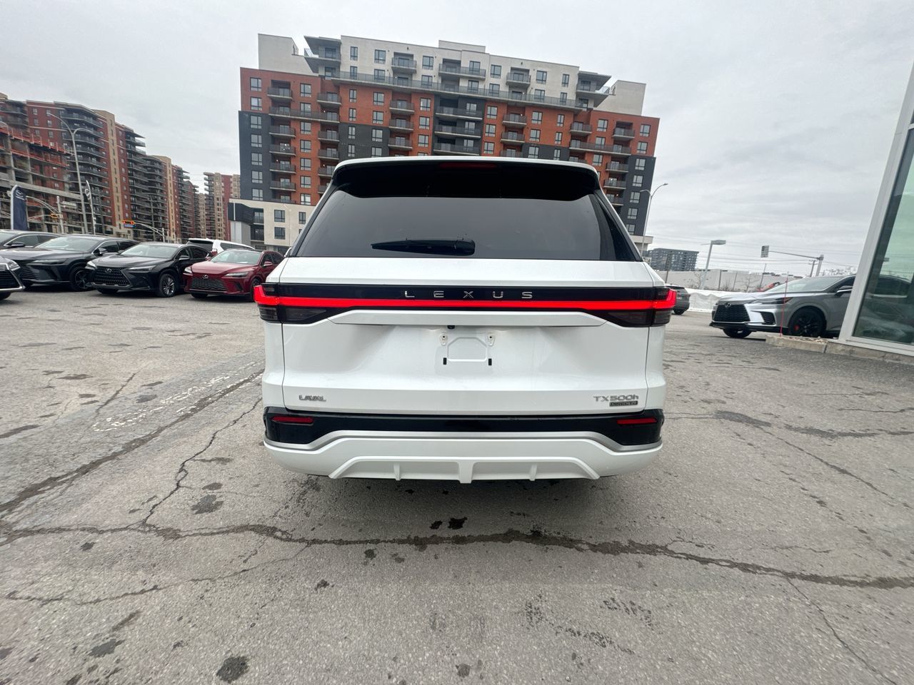 2024 Lexus TX in Laval, Quebec