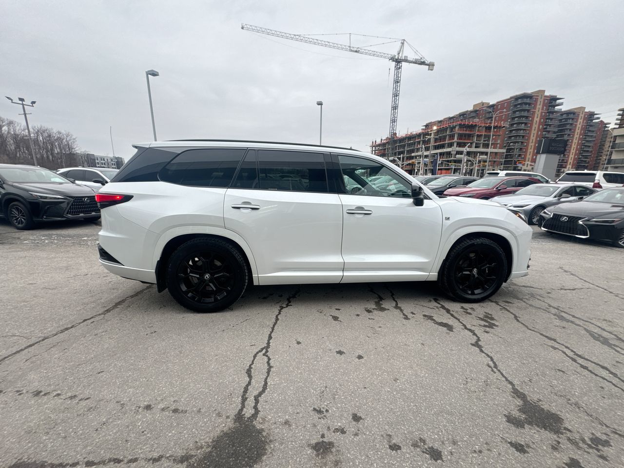 2024 Lexus TX in Laval, Quebec