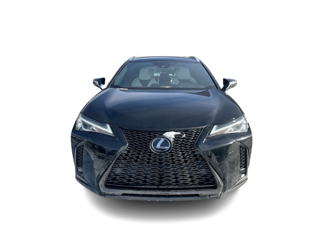 2020 Lexus UX 250h