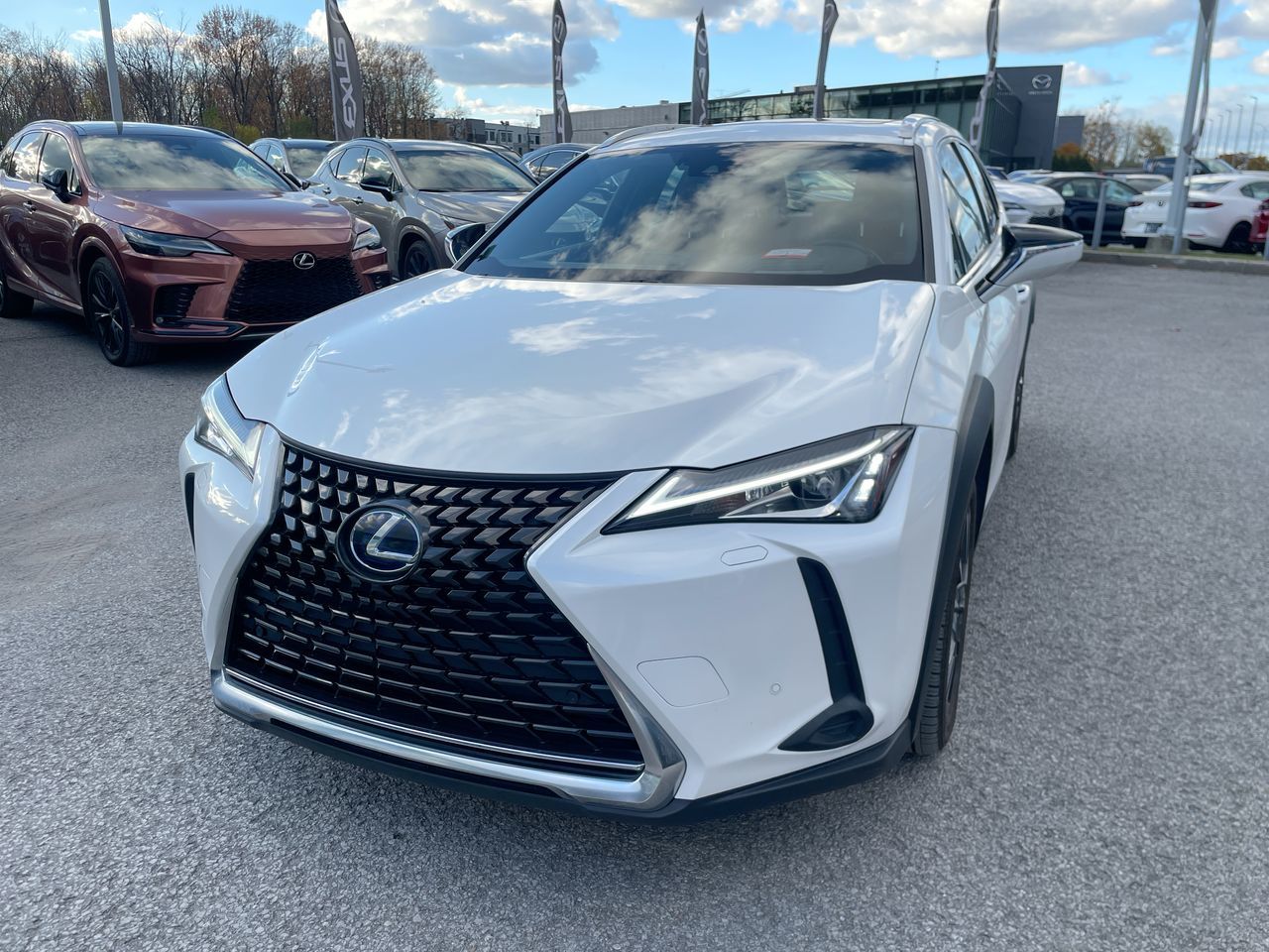 Lexus UX 250h  2021
