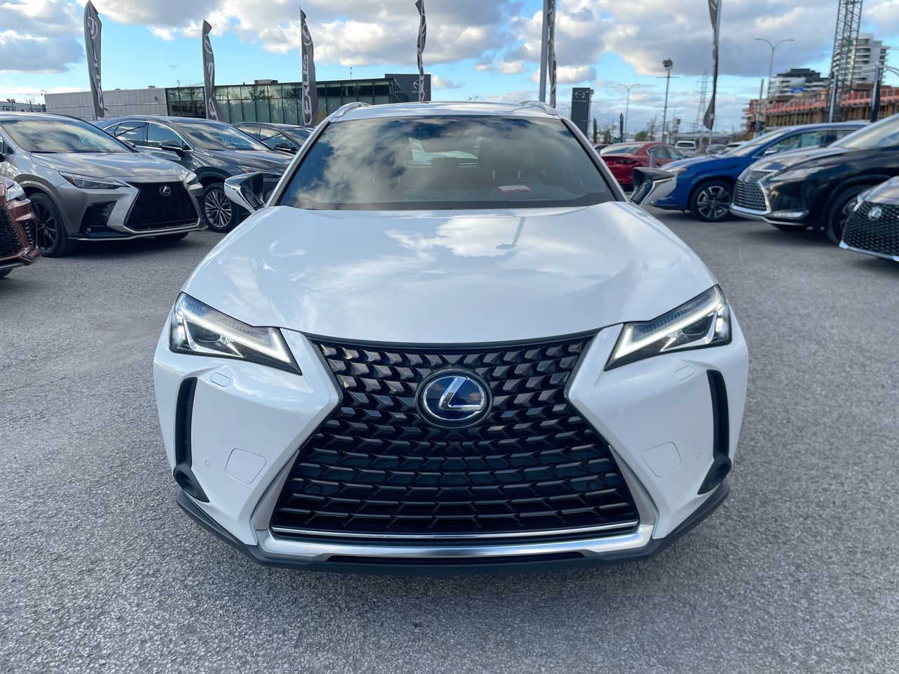 Lexus UX 250h  2021